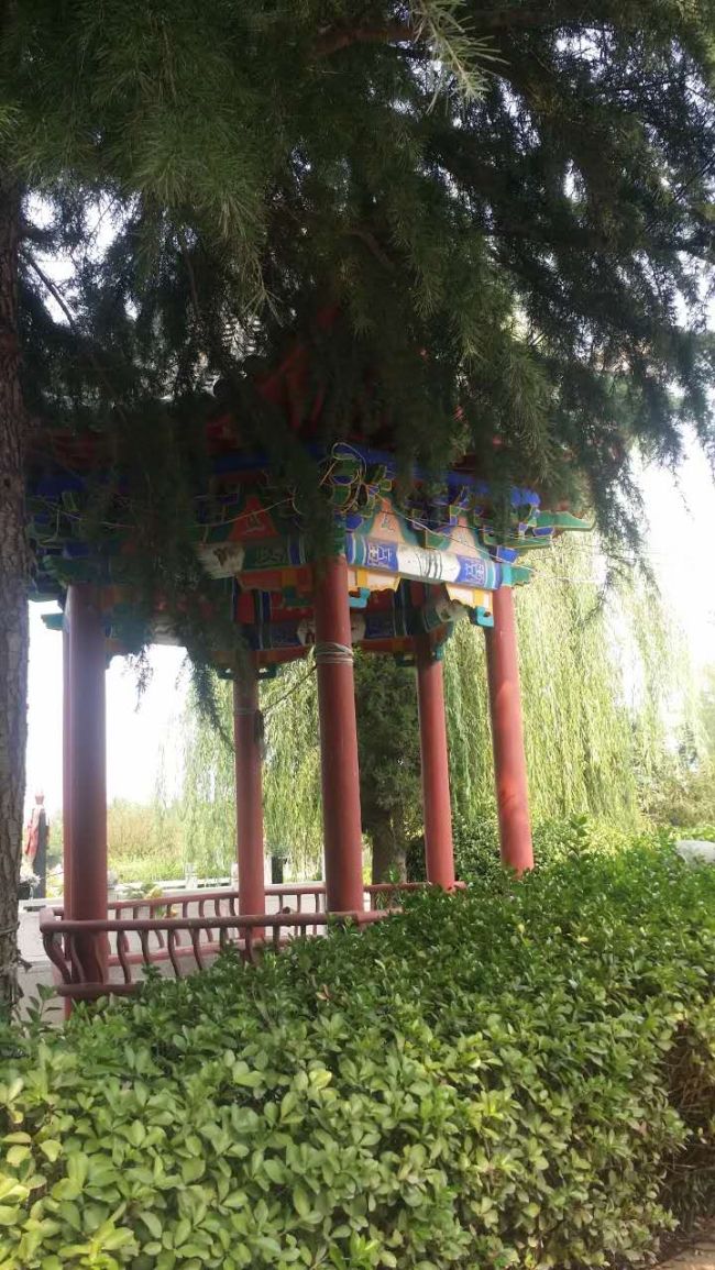 园区景观